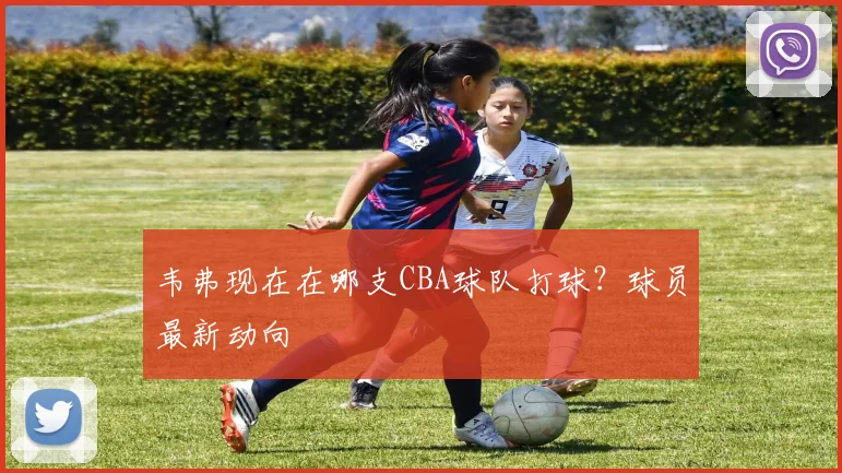 韦弗现在在哪支CBA球队打球？球员最新动向