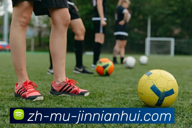 金年会体育平台生态图