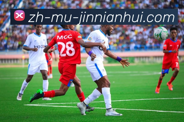 金年会体育APP 封面图